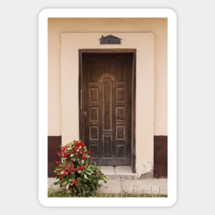 The Doors Of Las Flores - 2 © Sticker